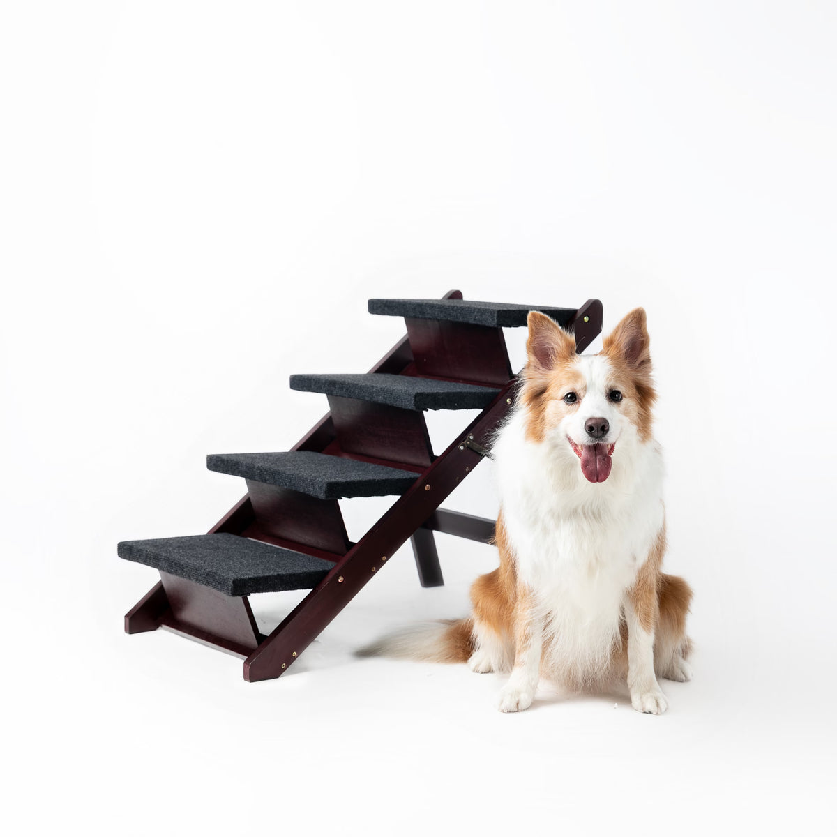The Steady Step Pet Stairs with a dog sitting beside them