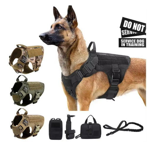 The All-Terrain Control Harness in black